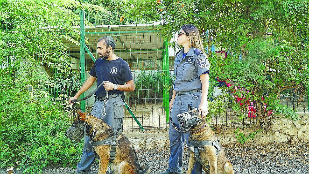 מבצע כנגד יעדי פשיעה ברחובות (צילום: משטרת ישראל)