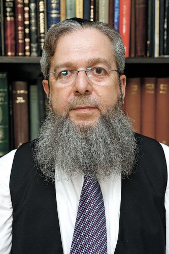 הרב אפרים זלמנוביץ' (צילום: ניר שמול)