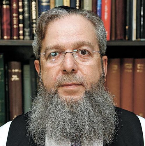 הרב אפרים זלמנוביץ' (צילום: ניר שמול)