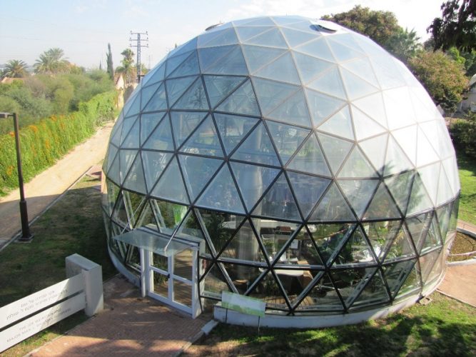 גן המדע על שם קלור במכון ויצמן (צילום: איציק אמיתי)