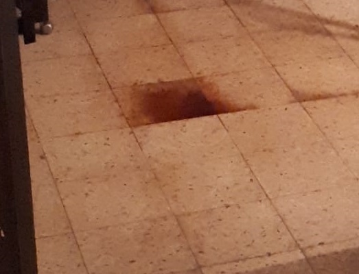 צרכים על הרצפה