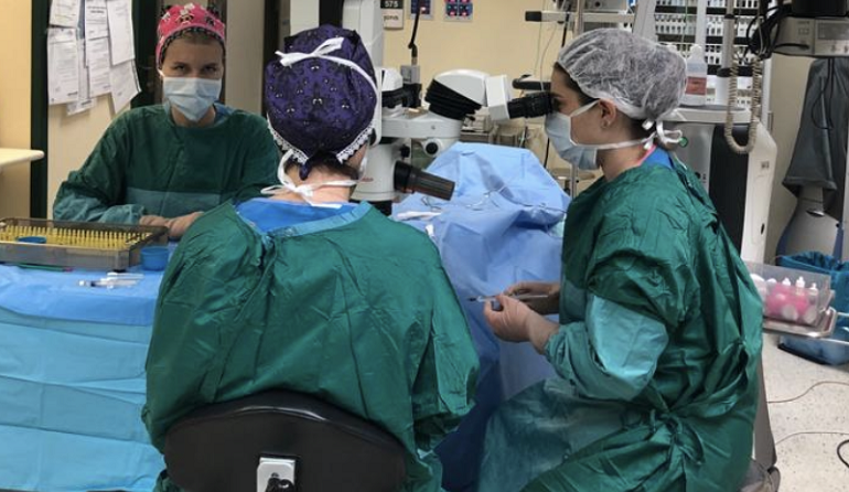 צוות מחלקת עיניים בקפלן במהלך ניתוח